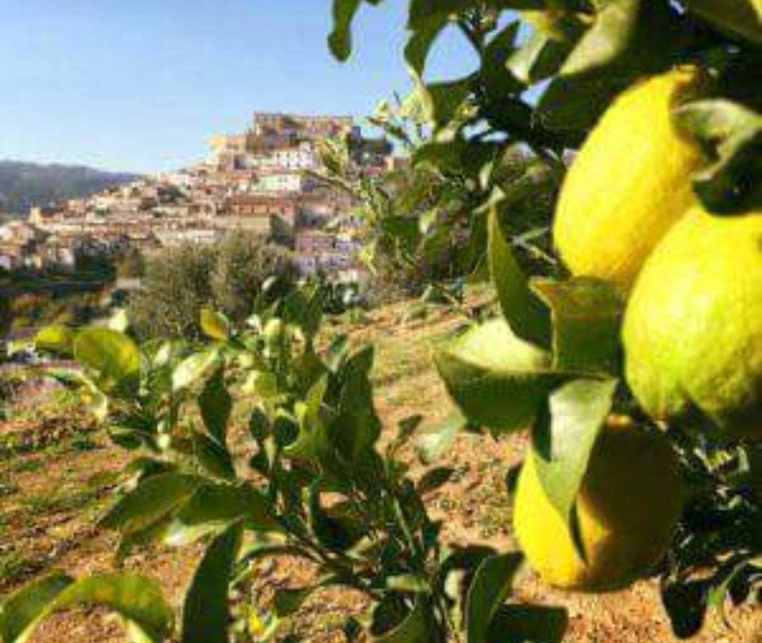 B&B Marilena Affittacamere Rocca Imperiale Exterior foto